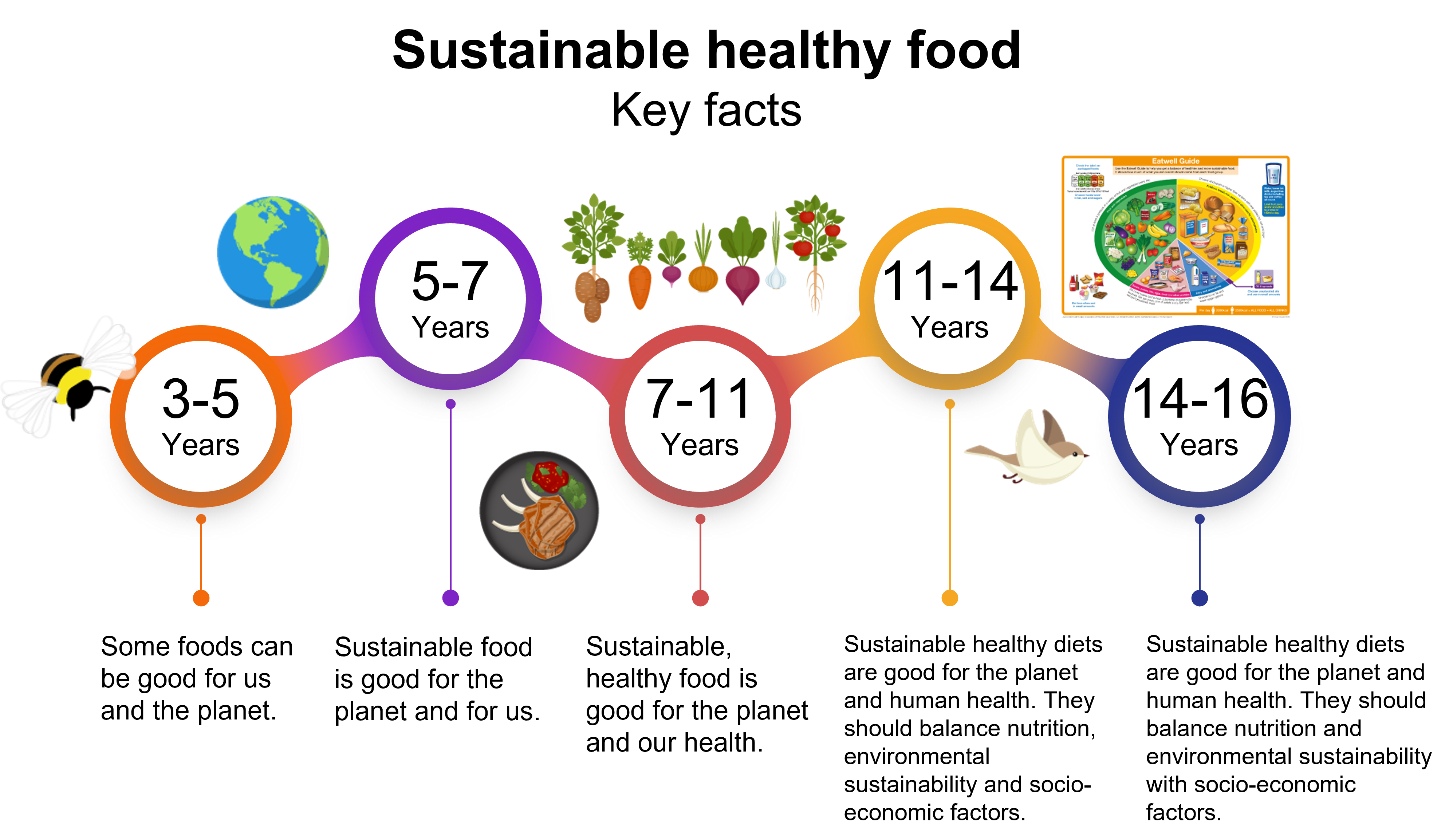 An image featuring key facts around sustainable healthy food